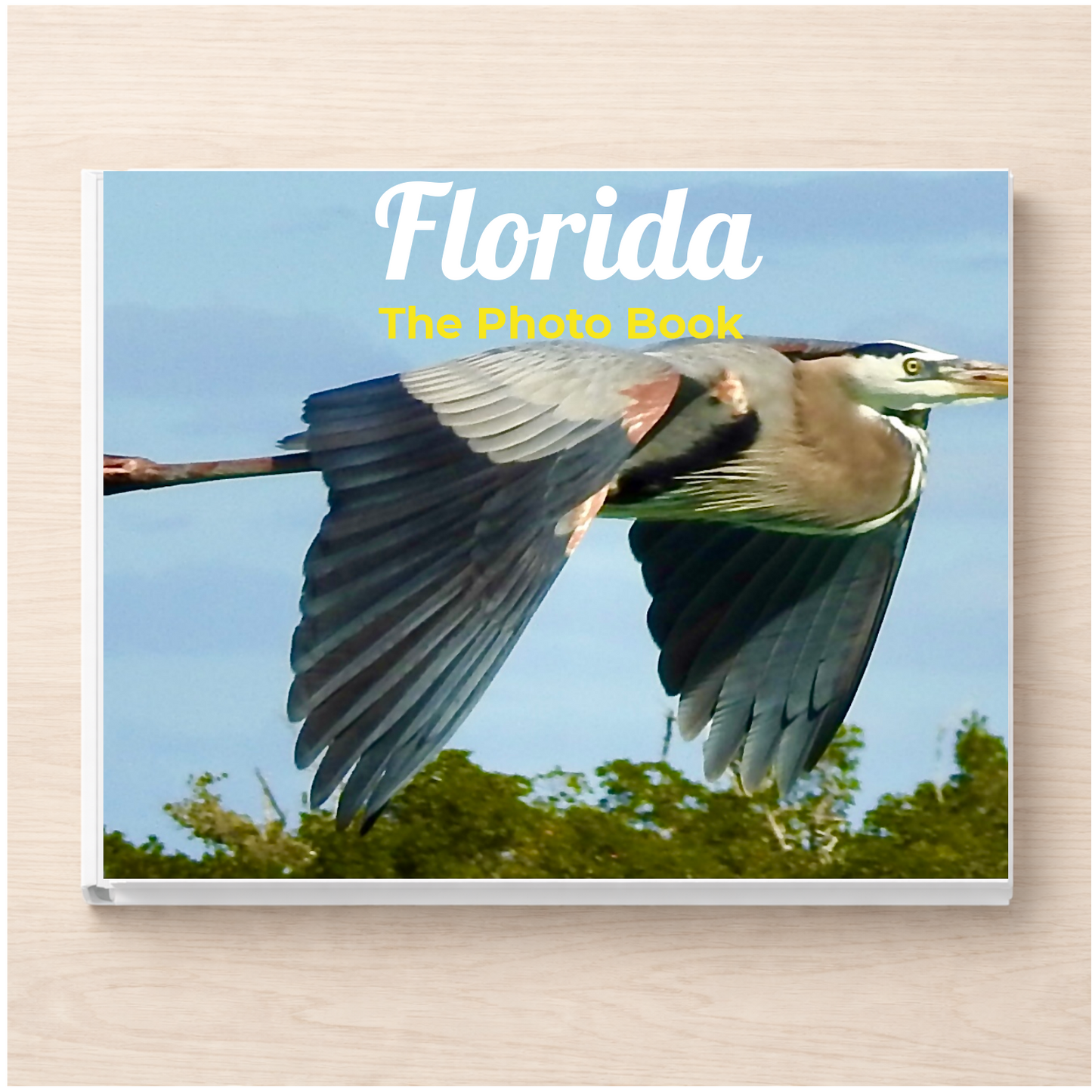 Florida: The Photo Book