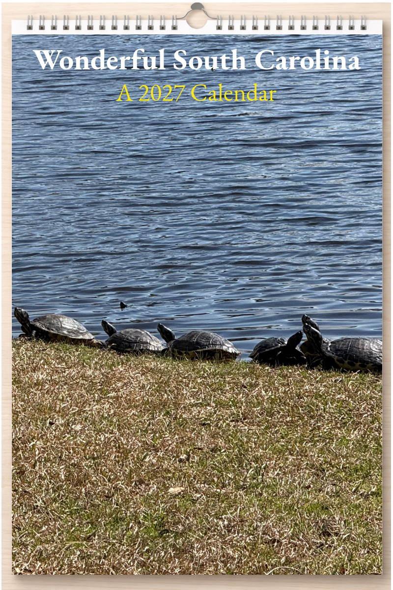Wonderful South Carolina: A 2027 Calendar