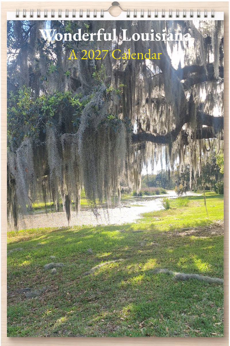 Wonderful Louisiana: A 2027 Calendar
