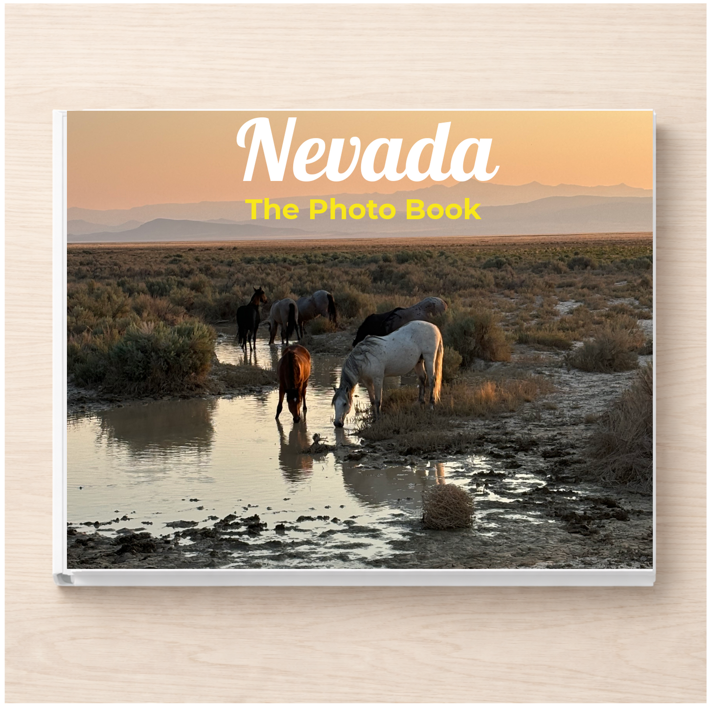 Nevada: The Photo Book
