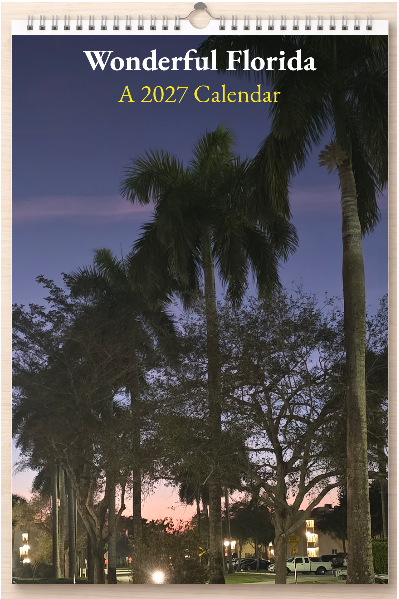 Wonderful Florida: A 2027 Calendar