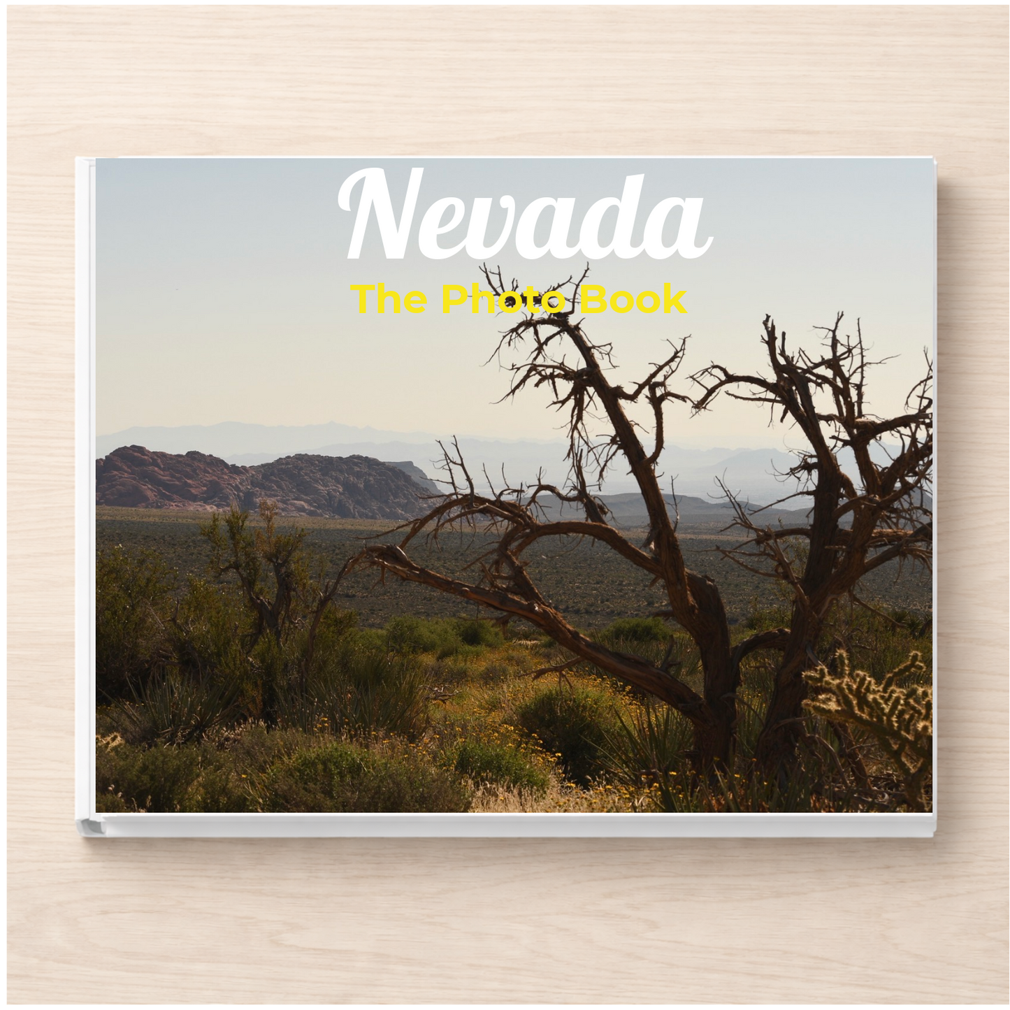 Nevada: The Photo Book