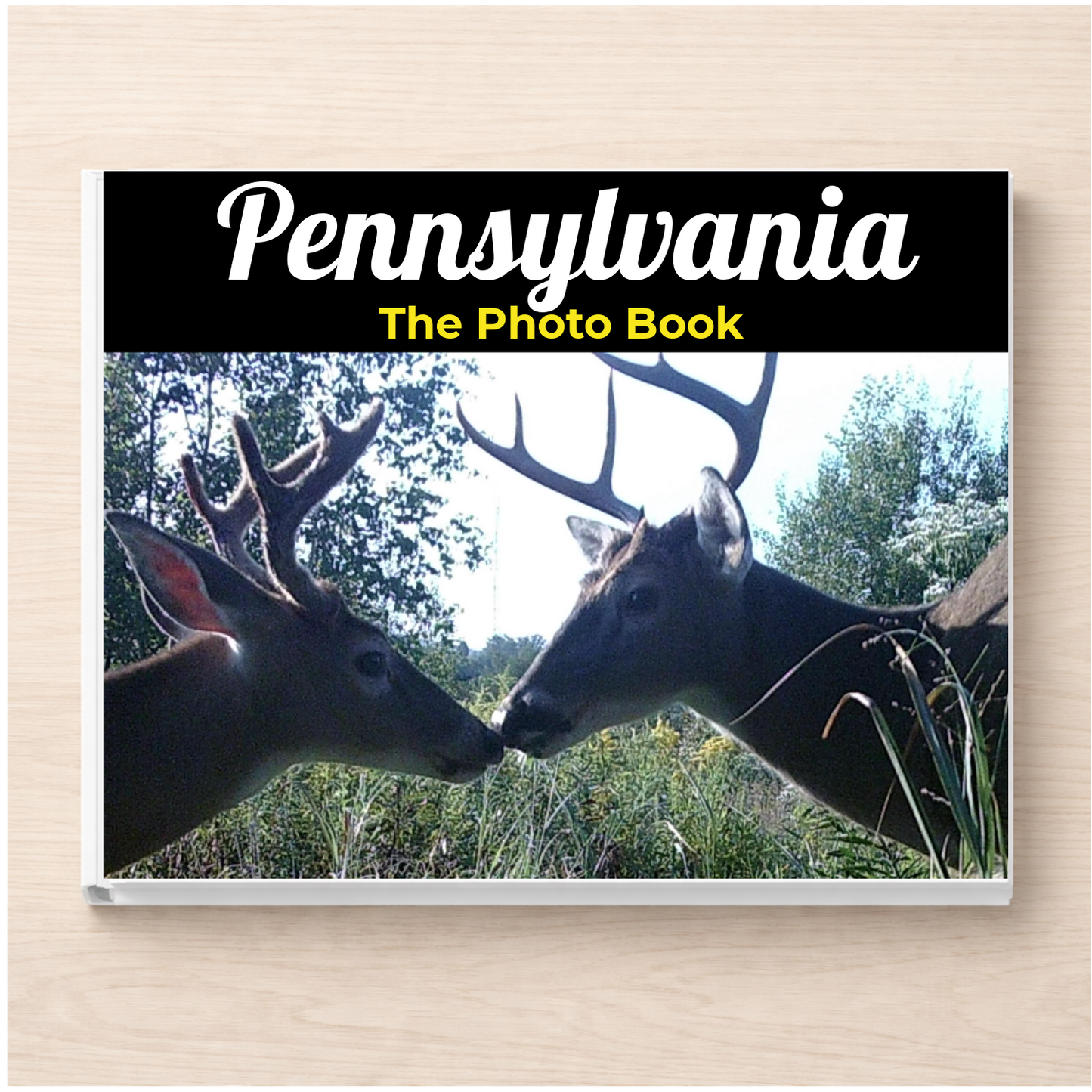 Pennsylvania: The Photo Book