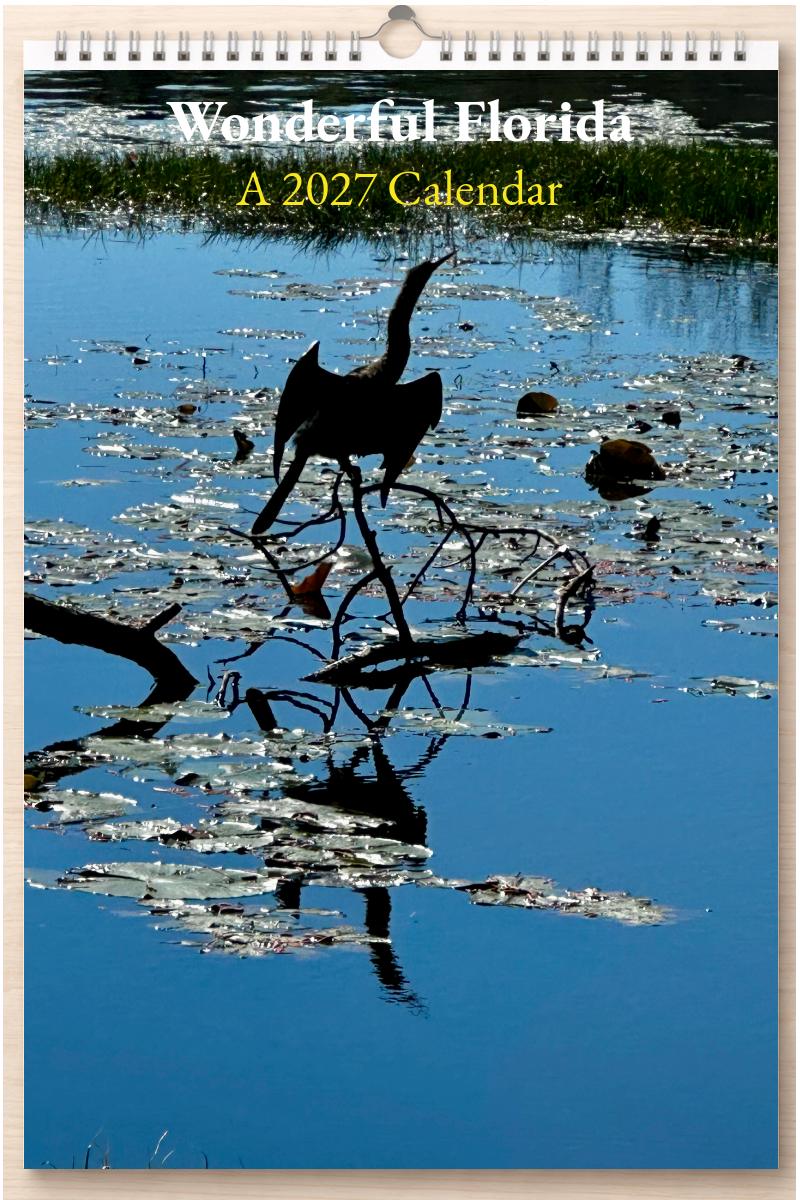 Wonderful Florida: A 2027 Calendar