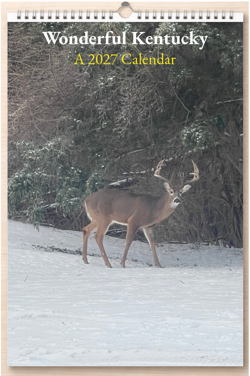 Wonderful Kentucky: A 2027 Calendar