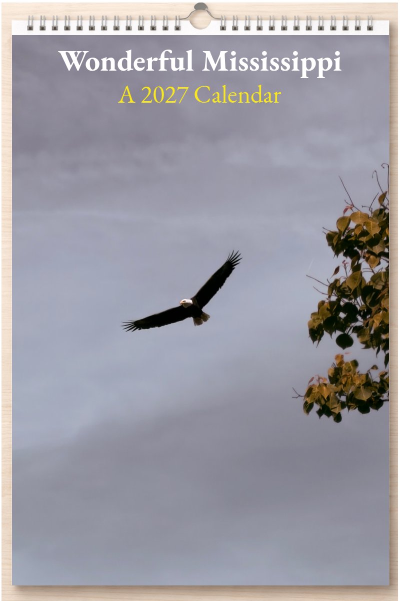 Wonderful Mississippi: A 2027 Calendar
