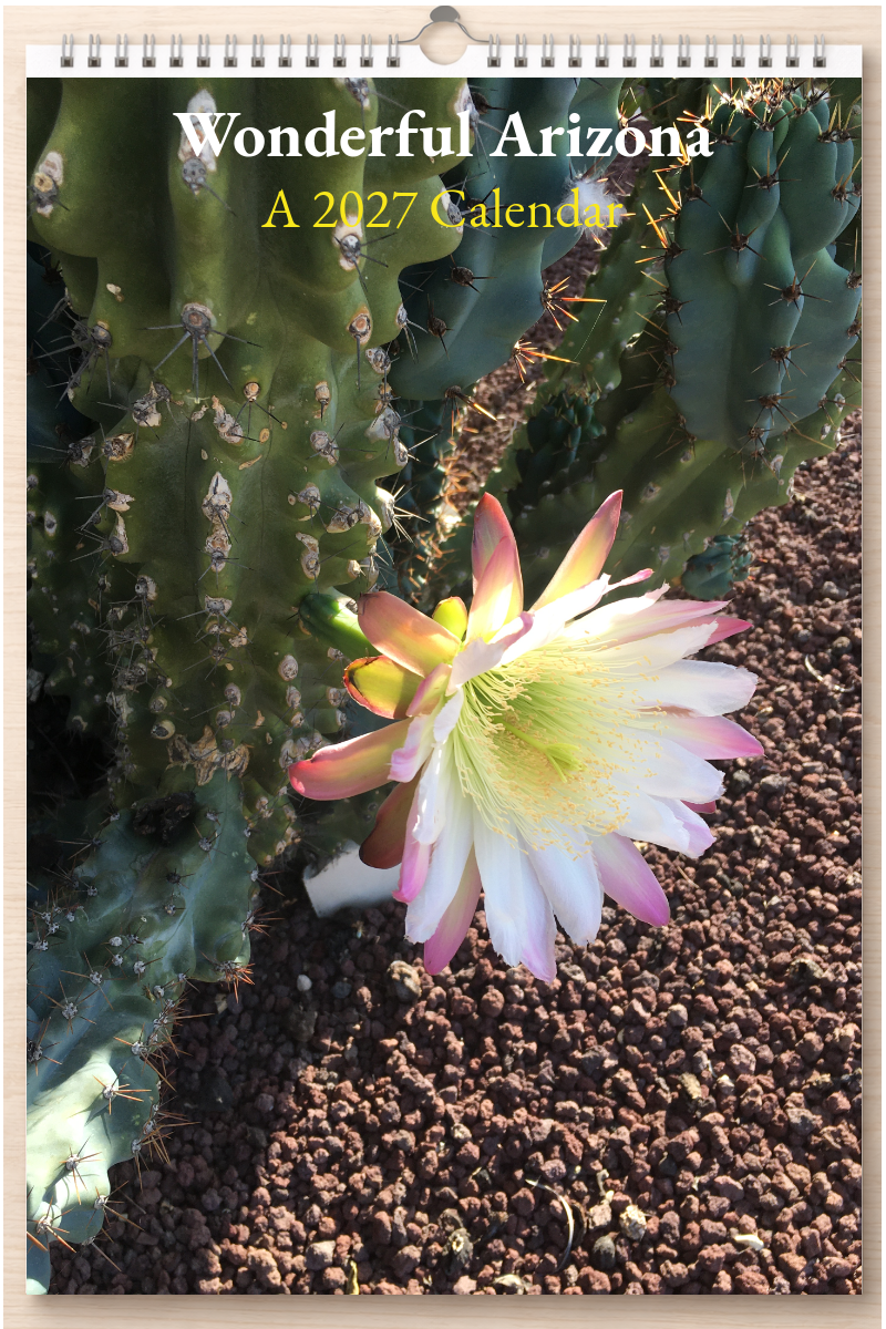 Wonderful Arizona: A 2027 Calendar
