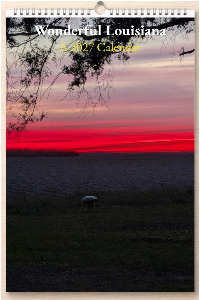 Wonderful Louisiana: A 2027 Calendar