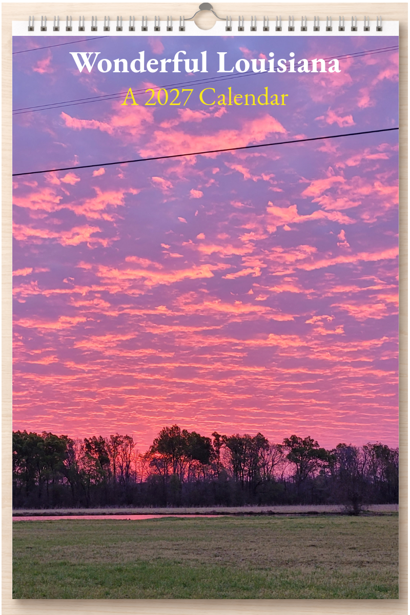 Wonderful Louisiana: A 2027 Calendar