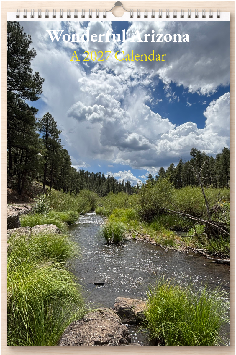 Wonderful Arizona: A 2027 Calendar