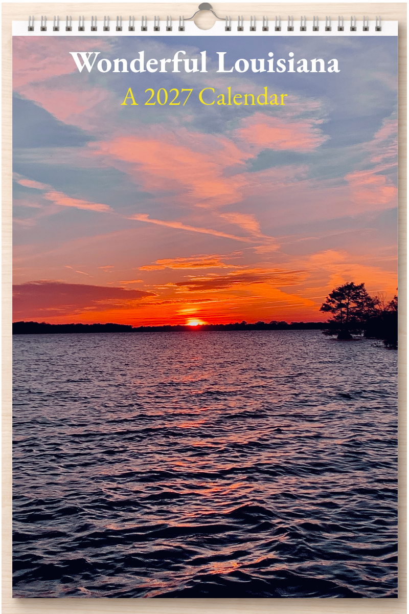 Wonderful Louisiana: A 2027 Calendar