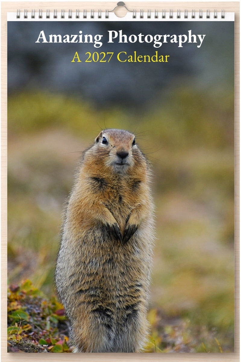 Amazing Photography: A 2027 Calendar