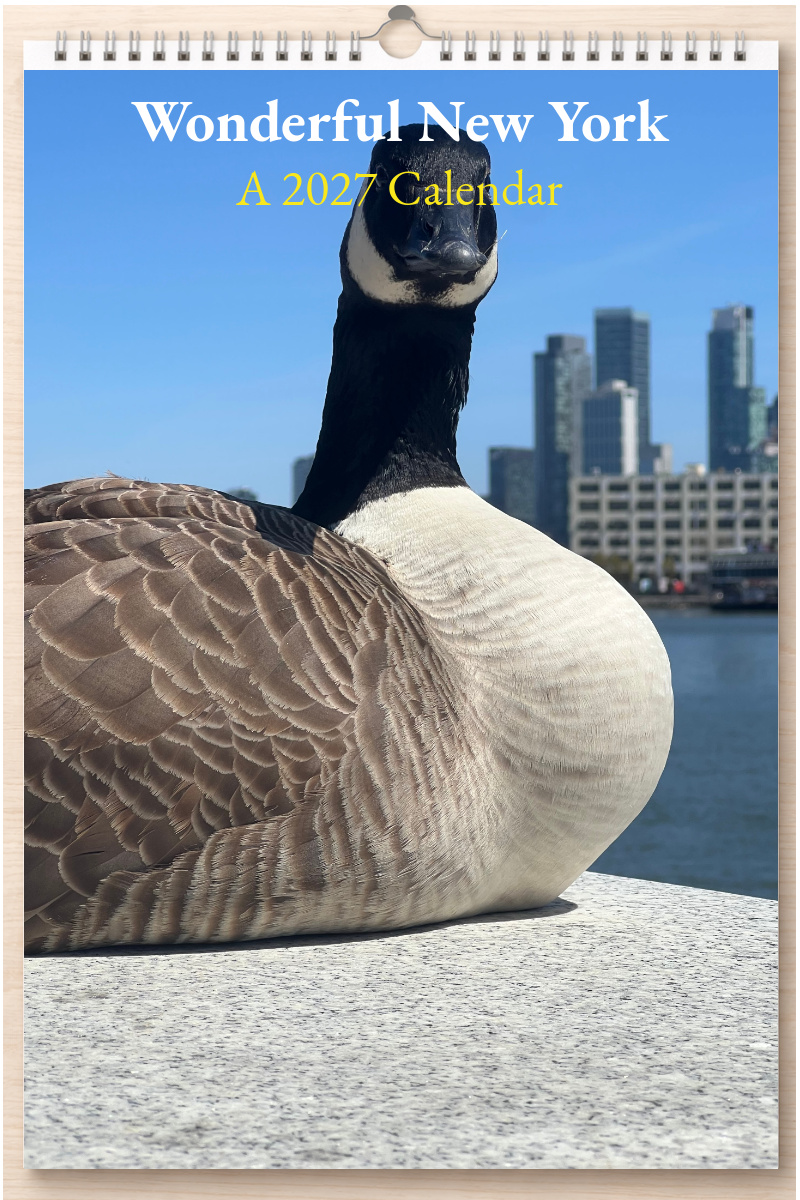 Wonderful New York: A 2027 Calendar