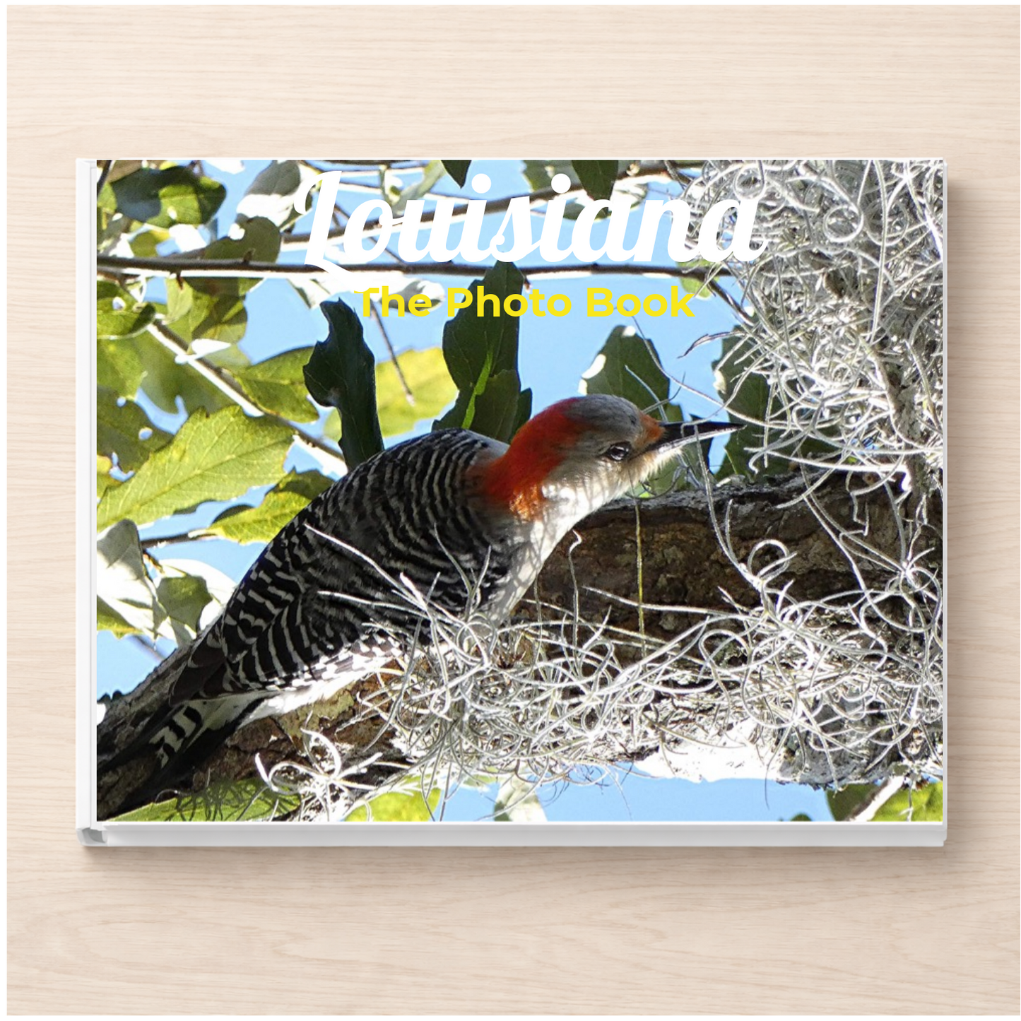 Louisiana: The Photo Book
