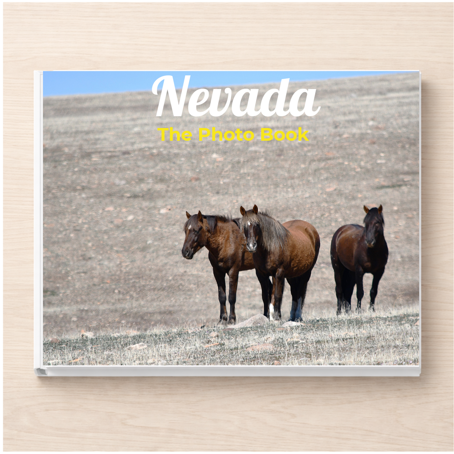 Nevada: The Photo Book