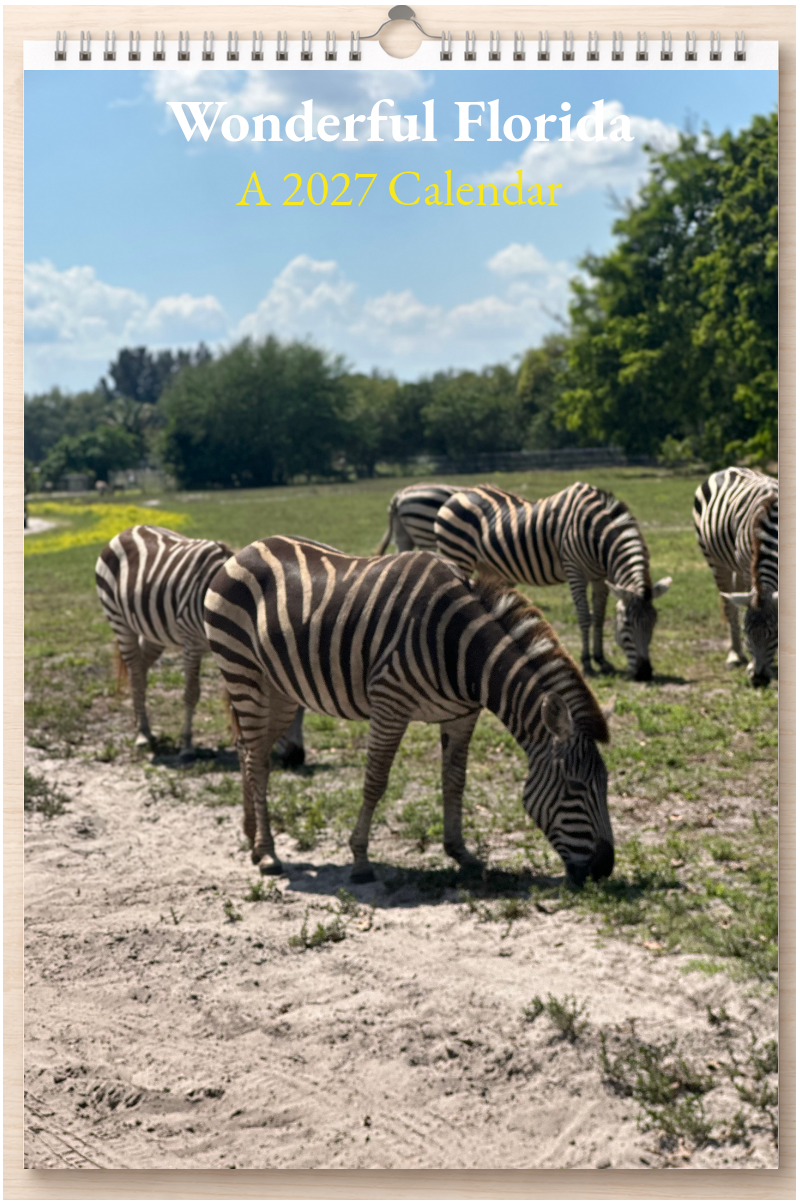 Wonderful Florida: A 2027 Calendar