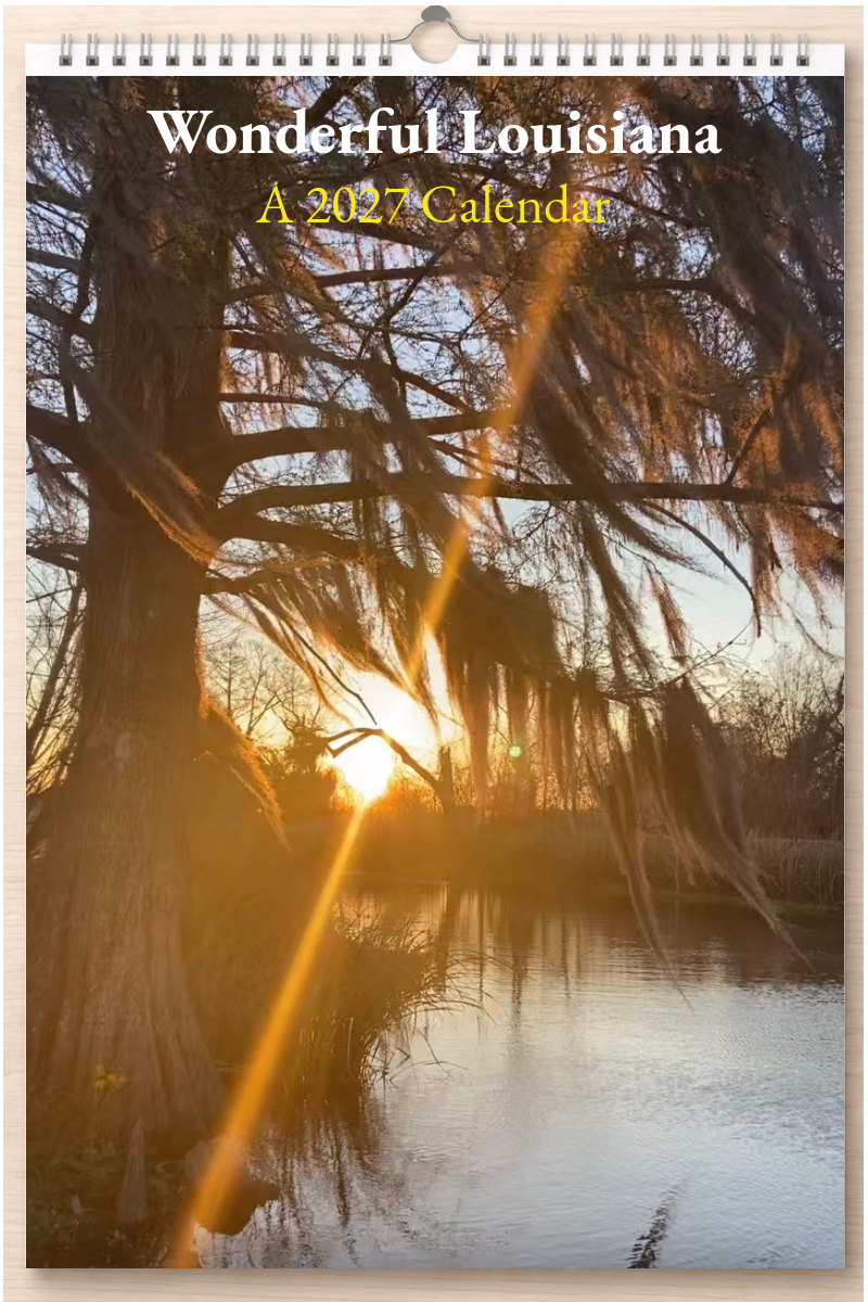 Wonderful Louisiana: A 2027 Calendar
