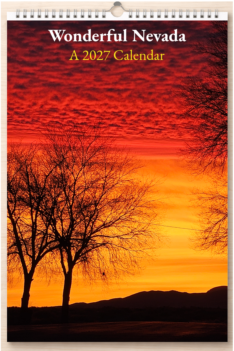 Wonderful Nevada: A 2027 Calendar