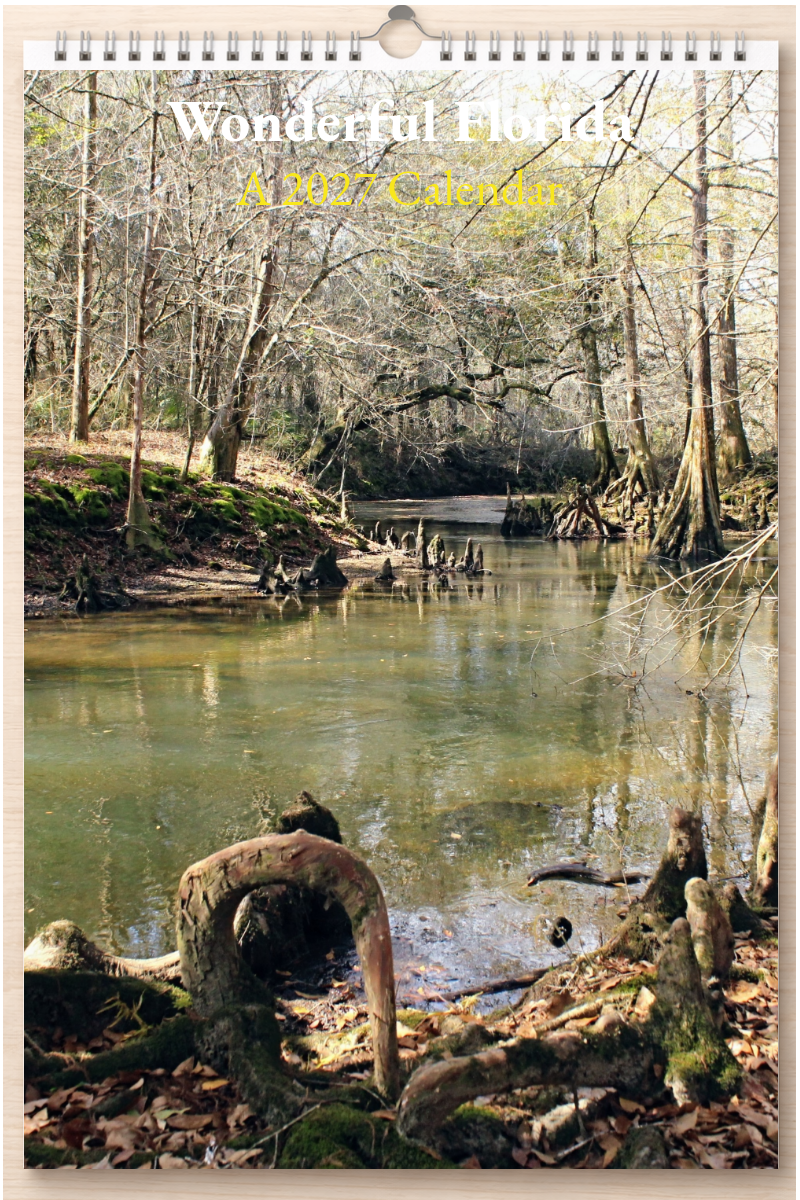 Wonderful Florida: A 2027 Calendar
