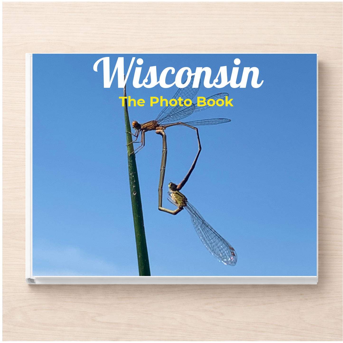 Wisconsin: The Photo Book