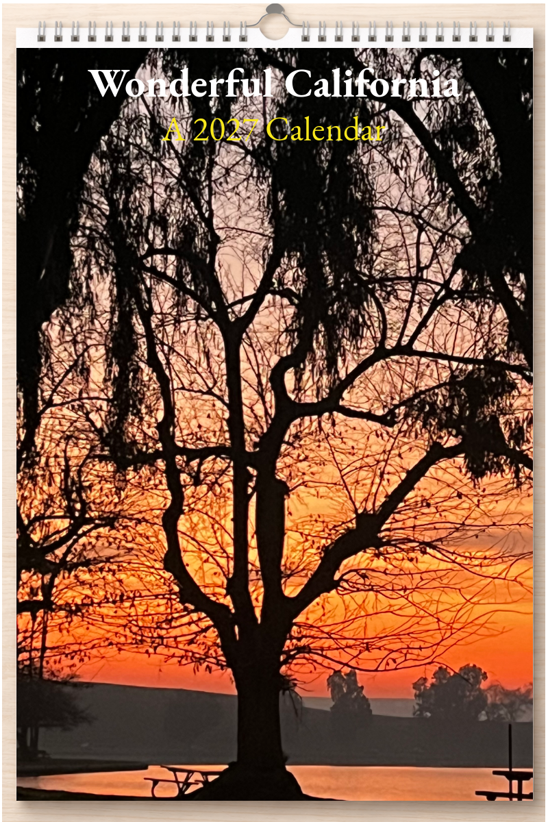 Wonderful California: A 2027 Calendar