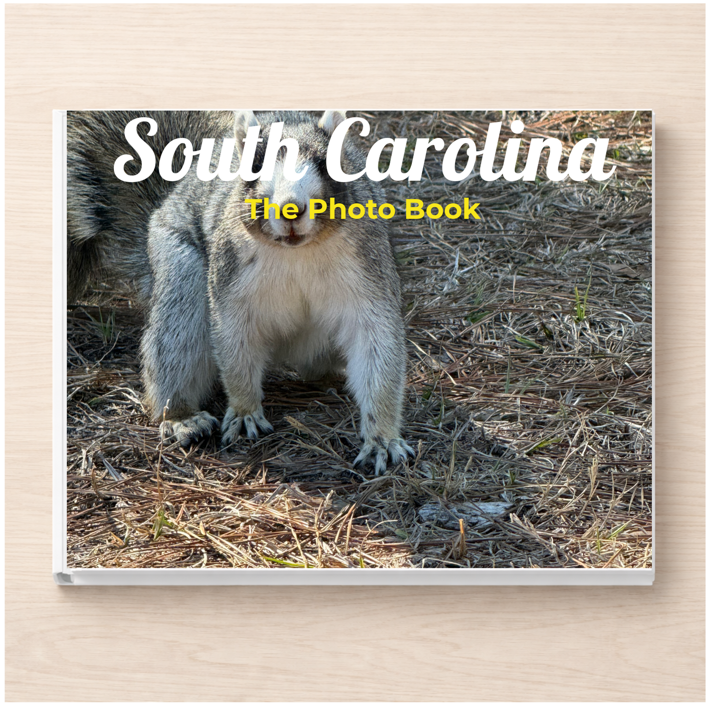 South Carolina: The Photo Book
