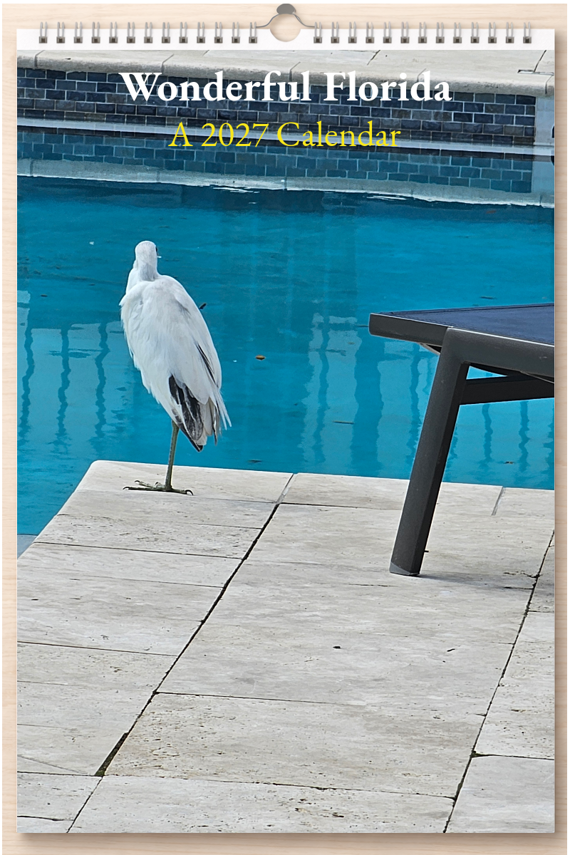 Wonderful Florida: A 2027 Calendar