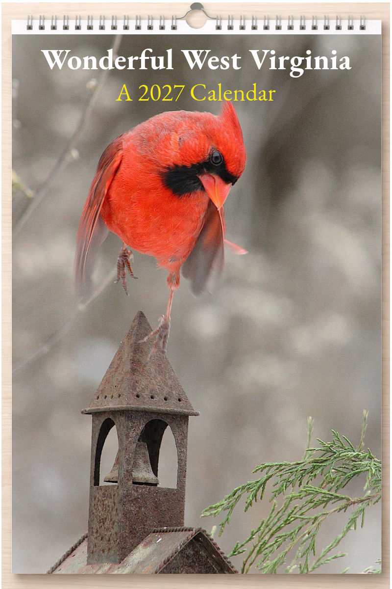 Wonderful West Virginia: A 2027 Calendar