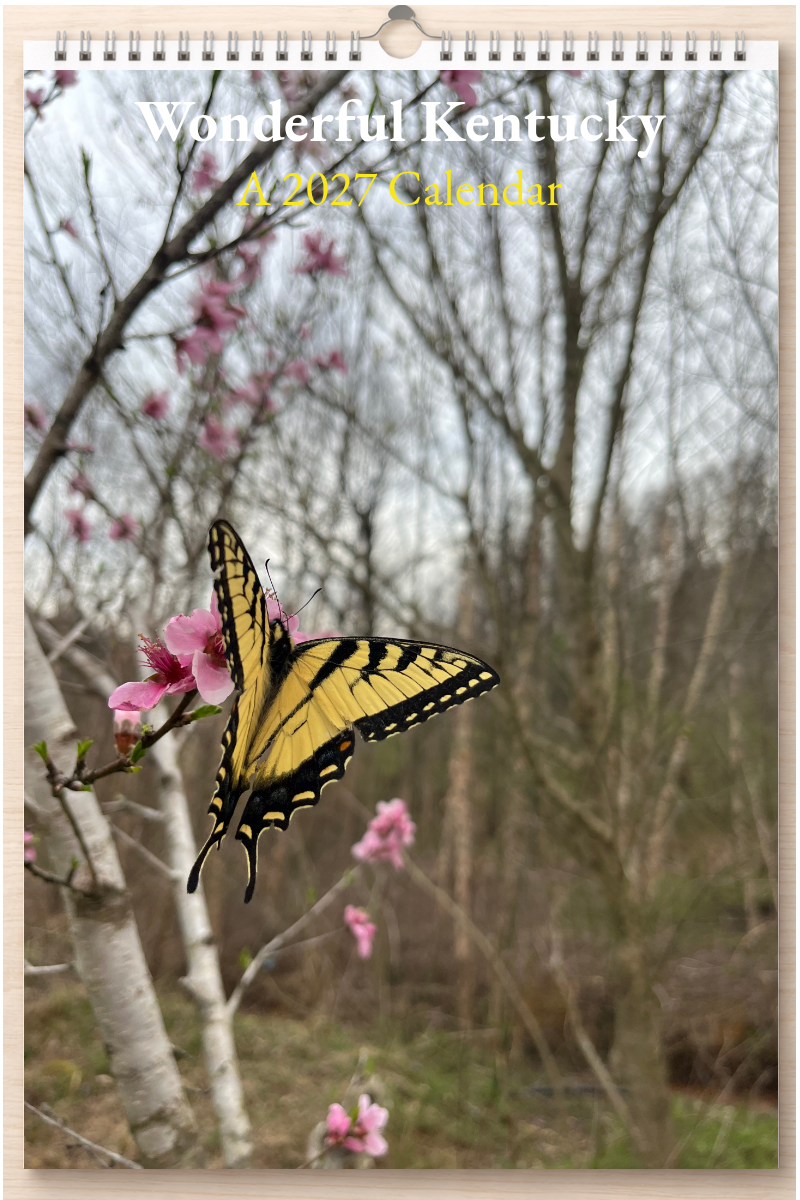 Wonderful Kentucky: A 2027 Calendar