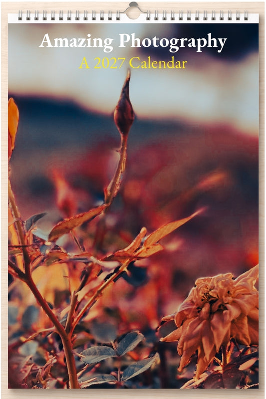 Amazing Photography: A 2027 Calendar