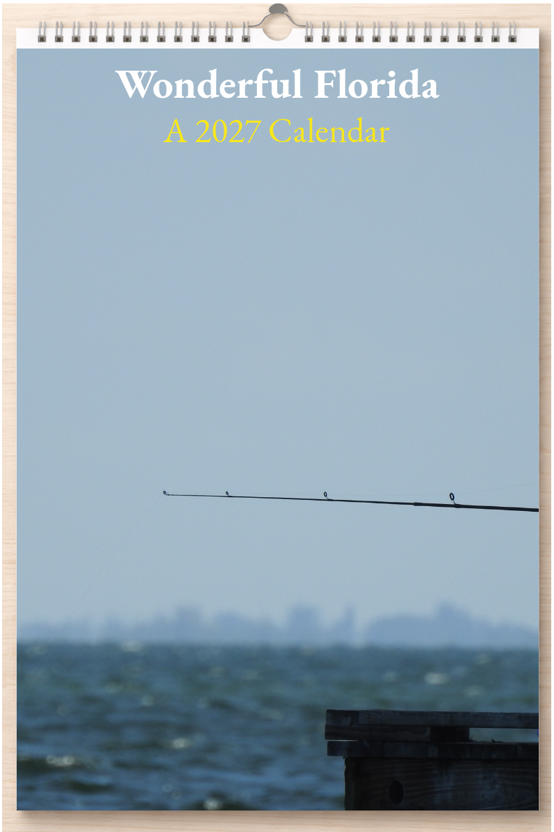 Wonderful Florida: A 2027 Calendar