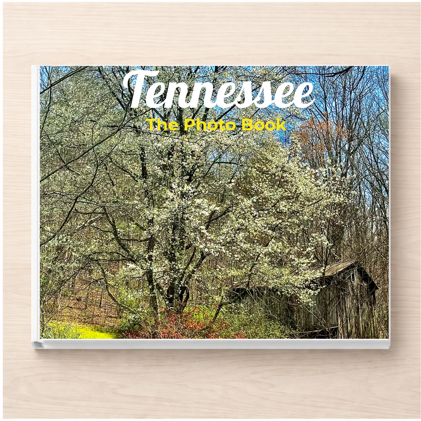 Tennessee: The Photo Book