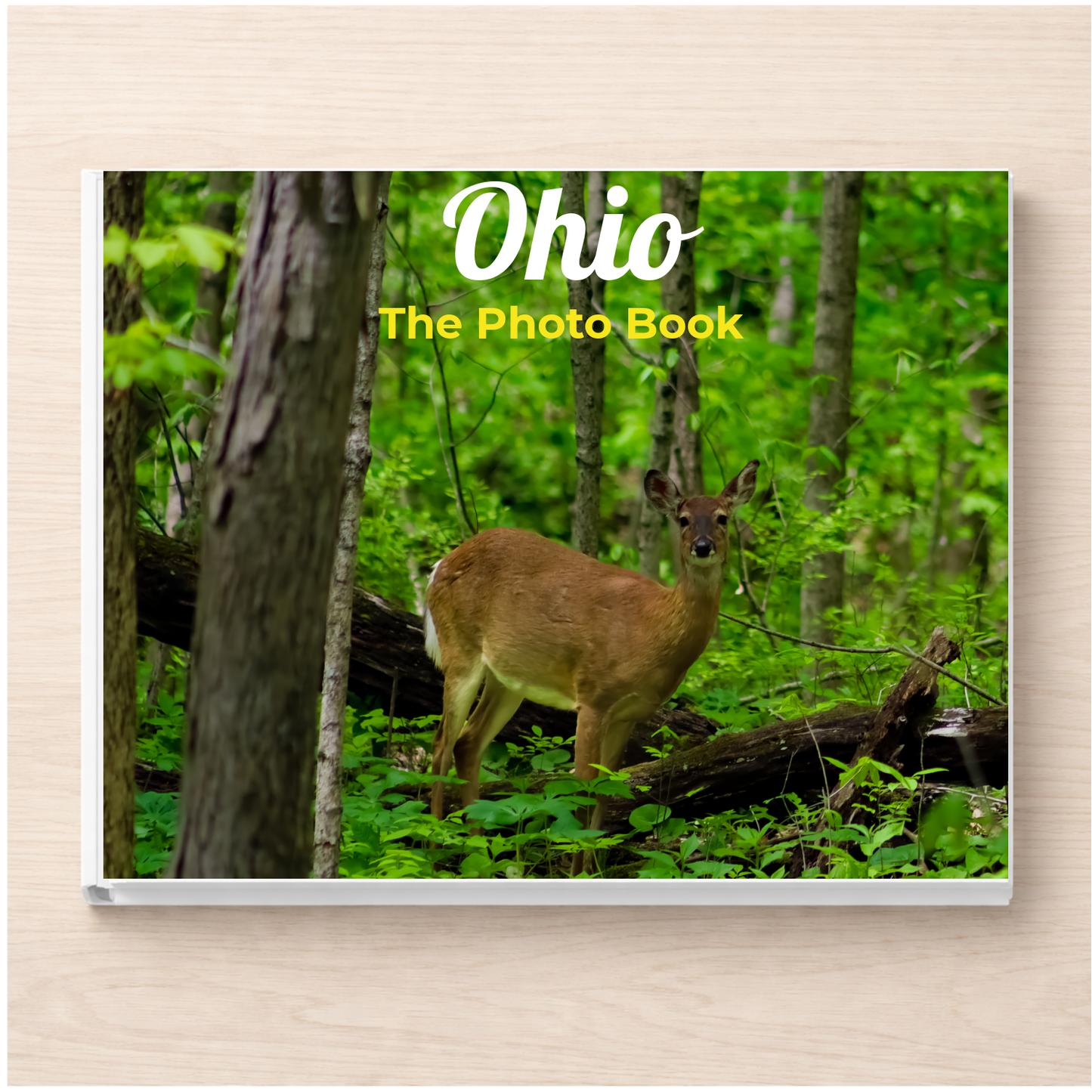 Ohio: The Photo Book