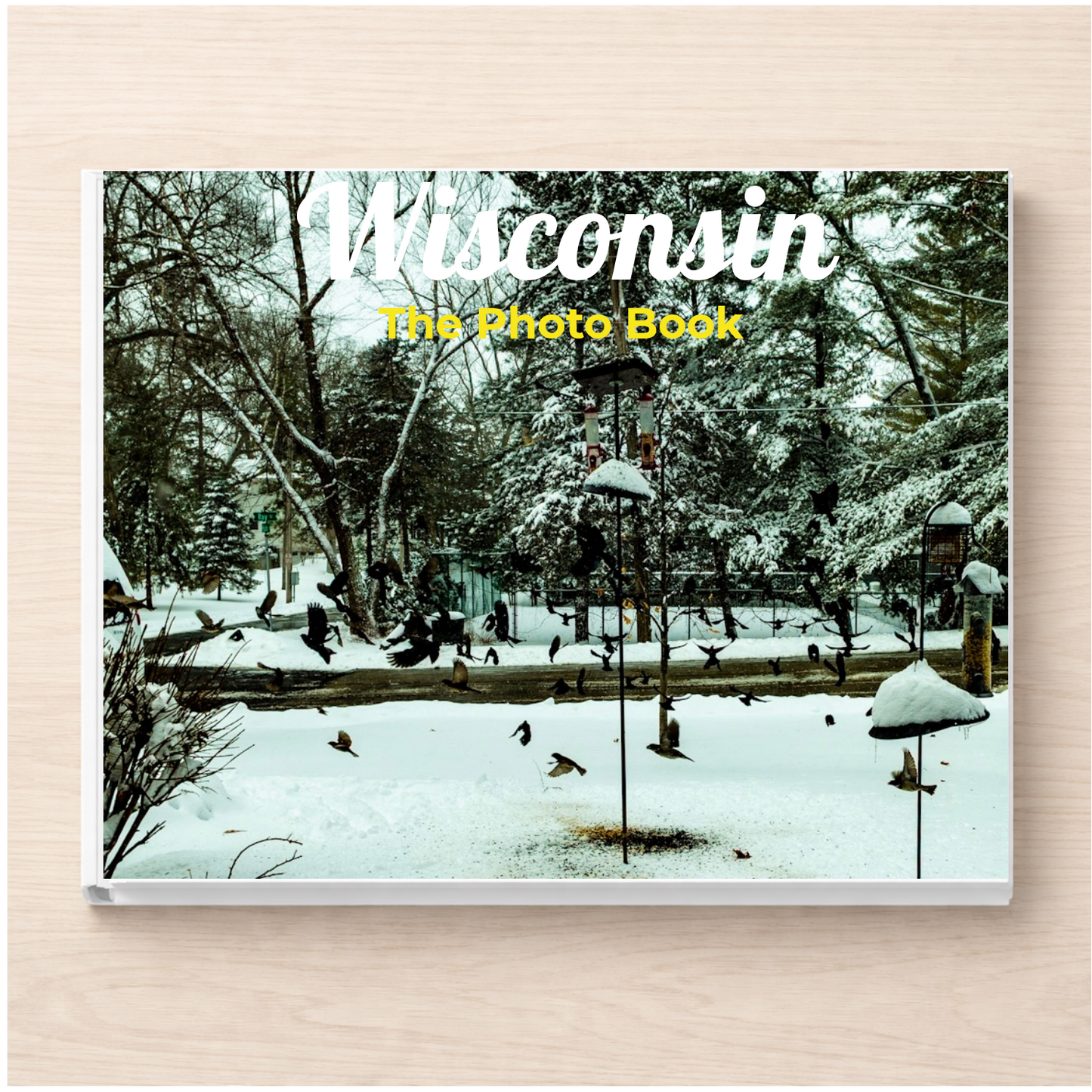 Wisconsin: The Photo Book