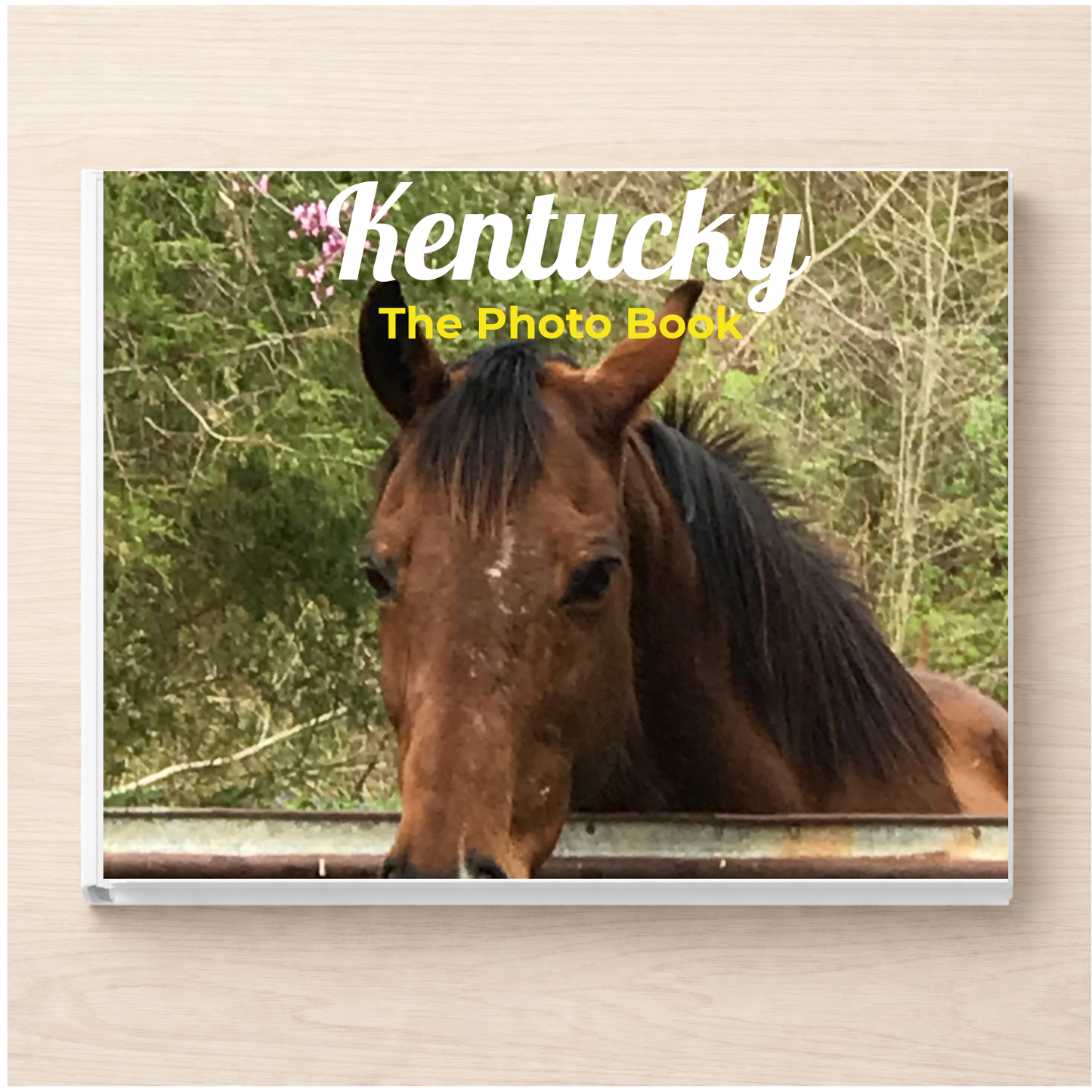 Kentucky: The Photo Book