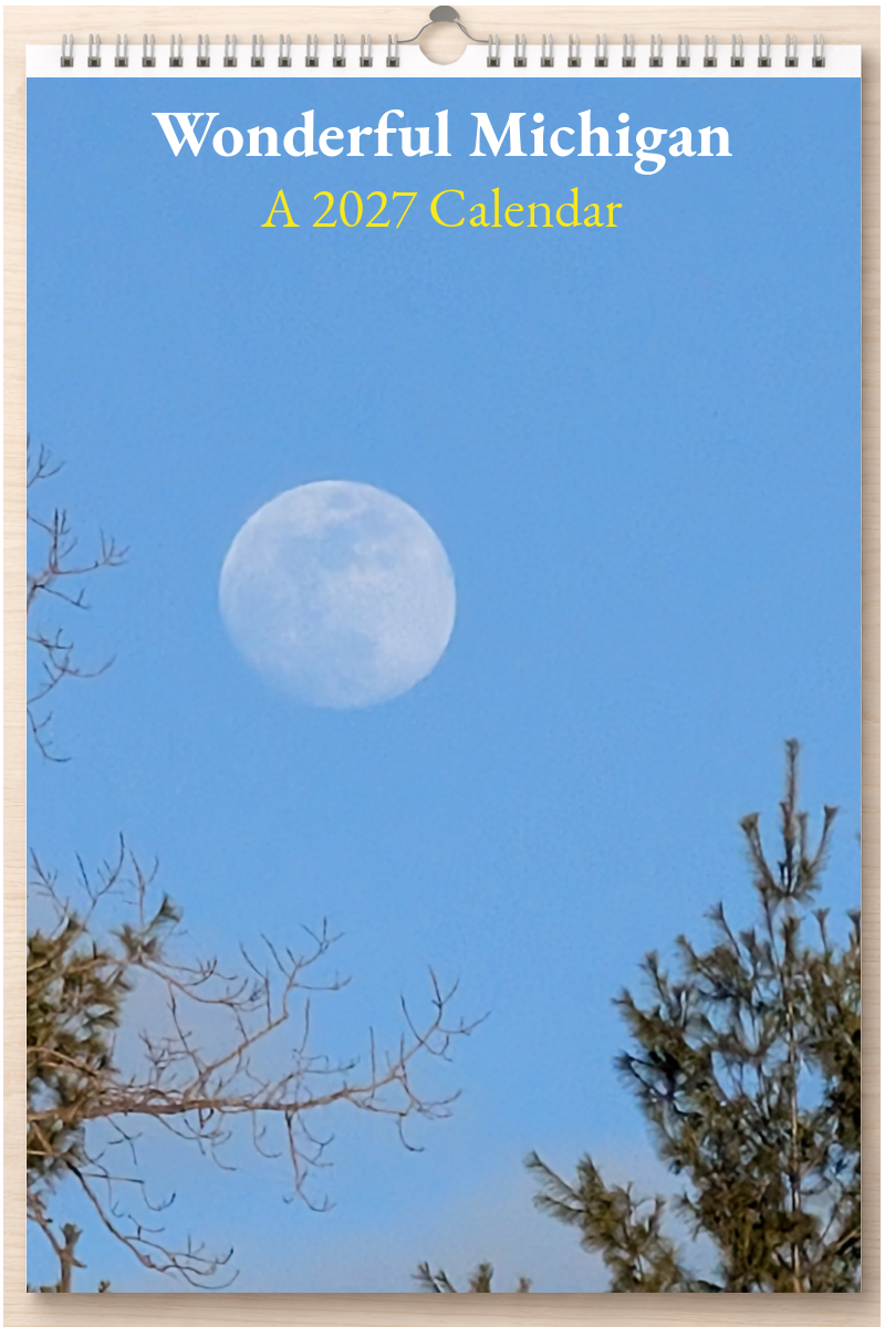 Wonderful Michigan: A 2027 Calendar