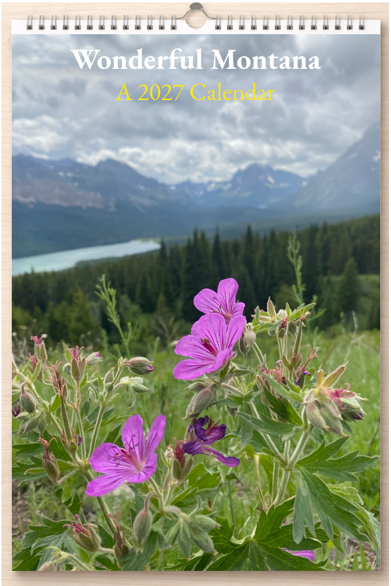 Wonderful Montana: A 2027 Calendar