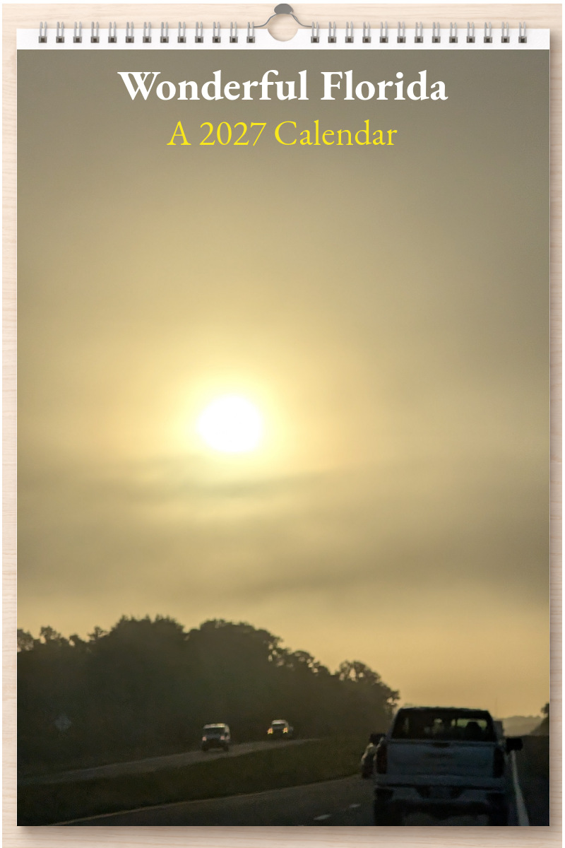 Wonderful Florida: A 2027 Calendar