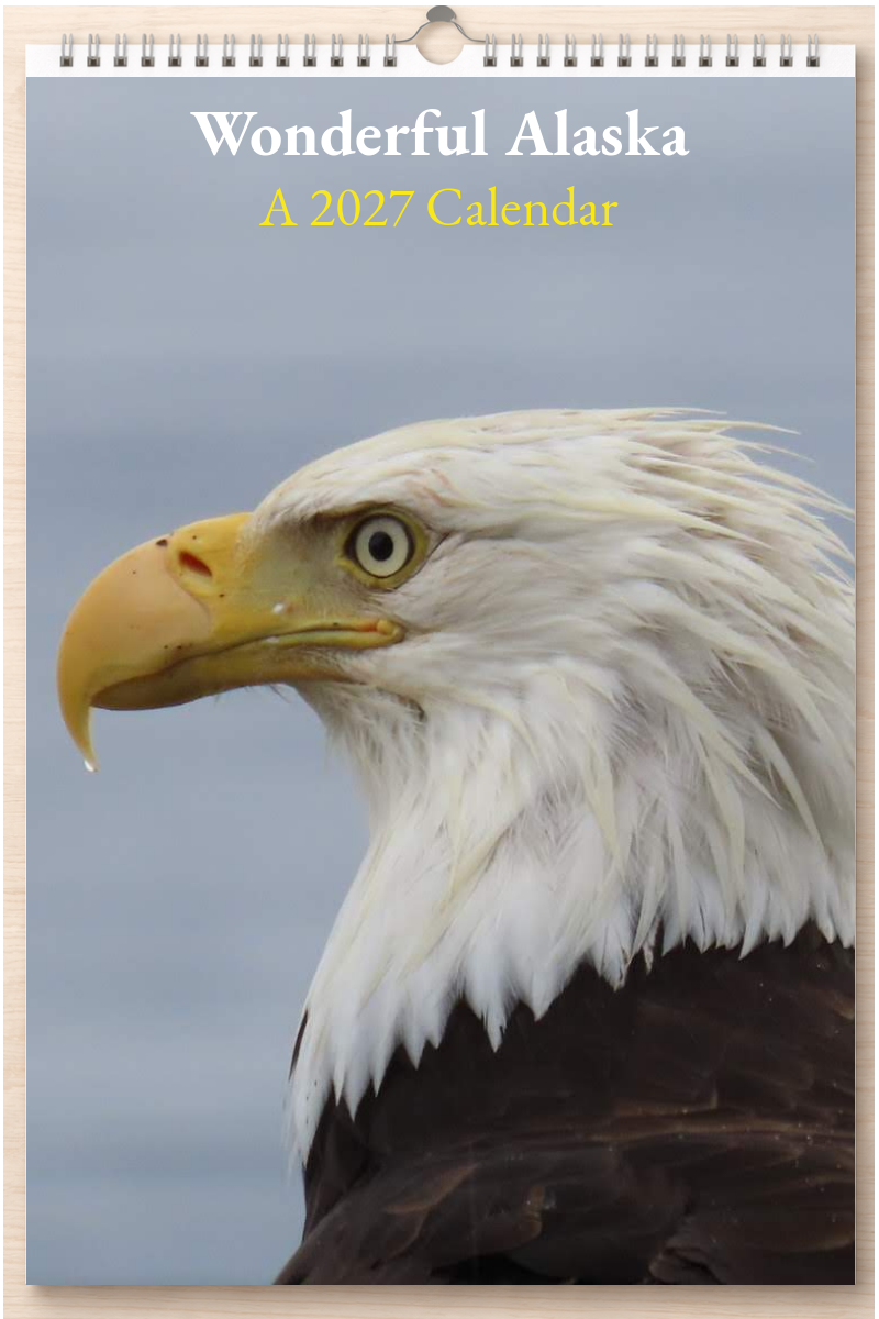 Wonderful Alaska: A 2027 Calendar