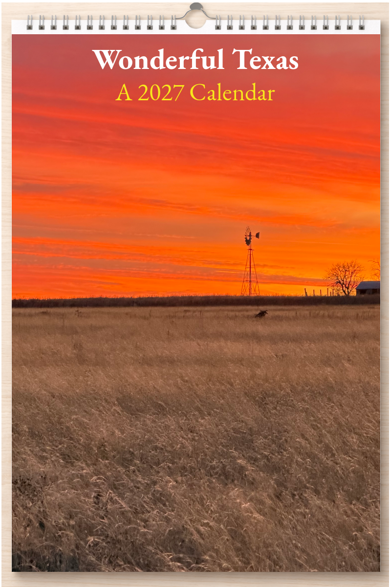 Wonderful Texas: A 2027 Calendar
