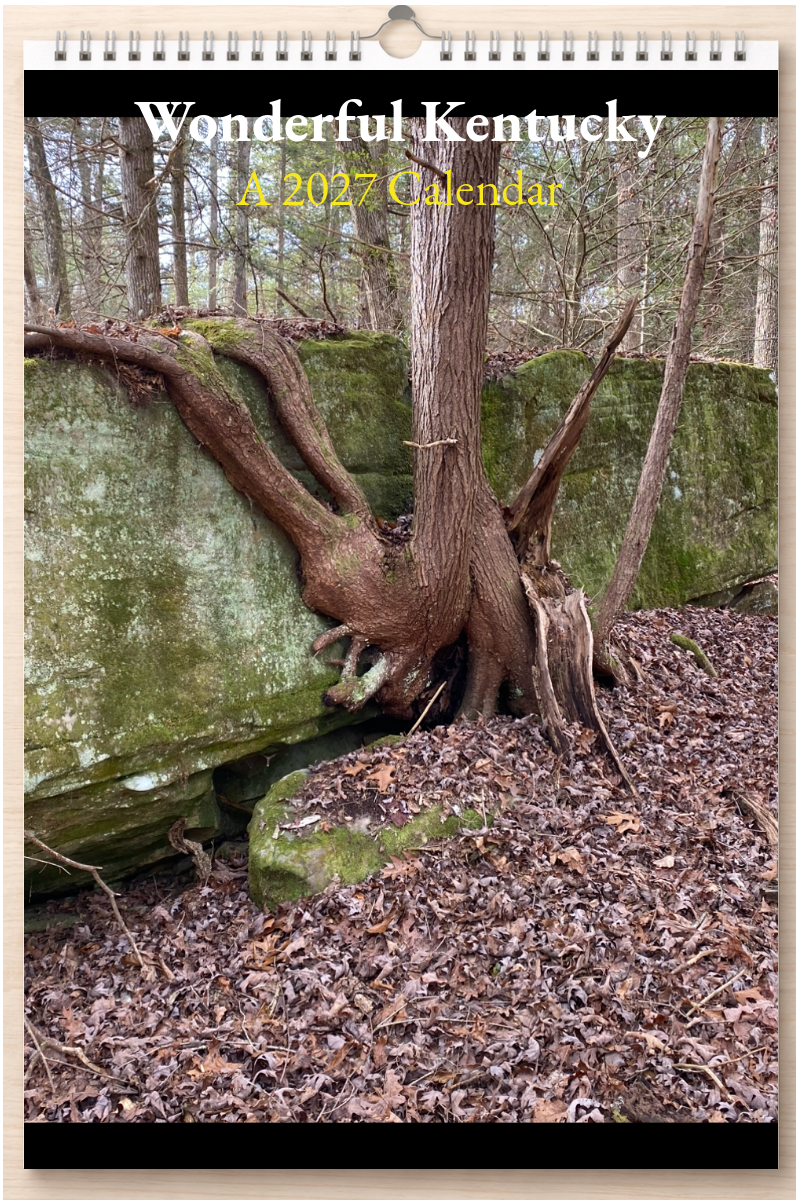Wonderful Kentucky: A 2027 Calendar