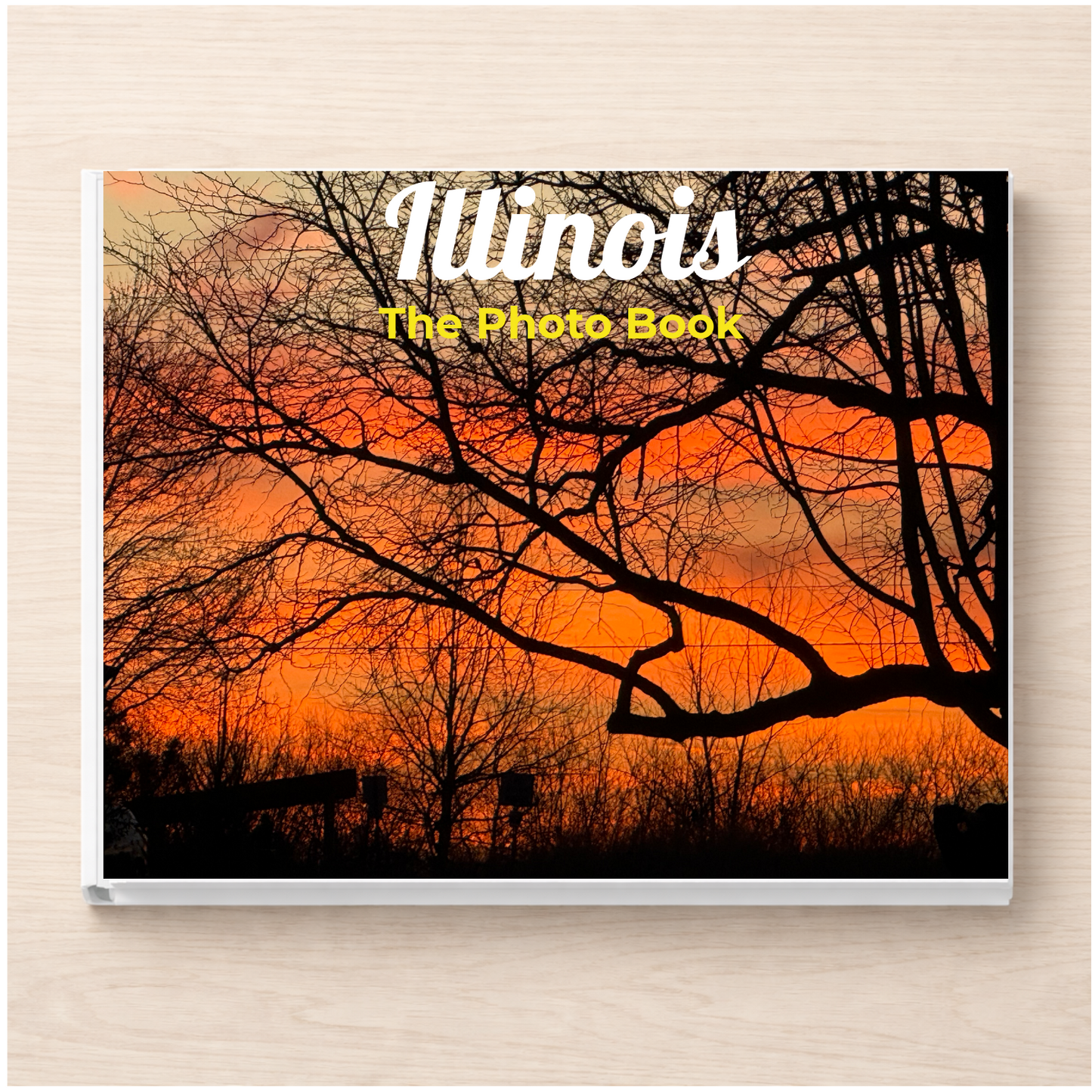 Illinois: The Photo Book