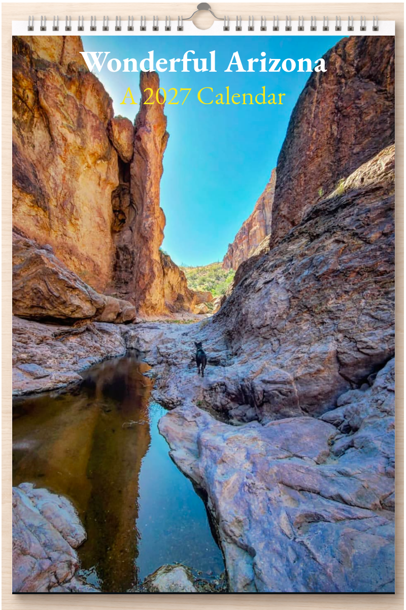 Wonderful Arizona: A 2027 Calendar