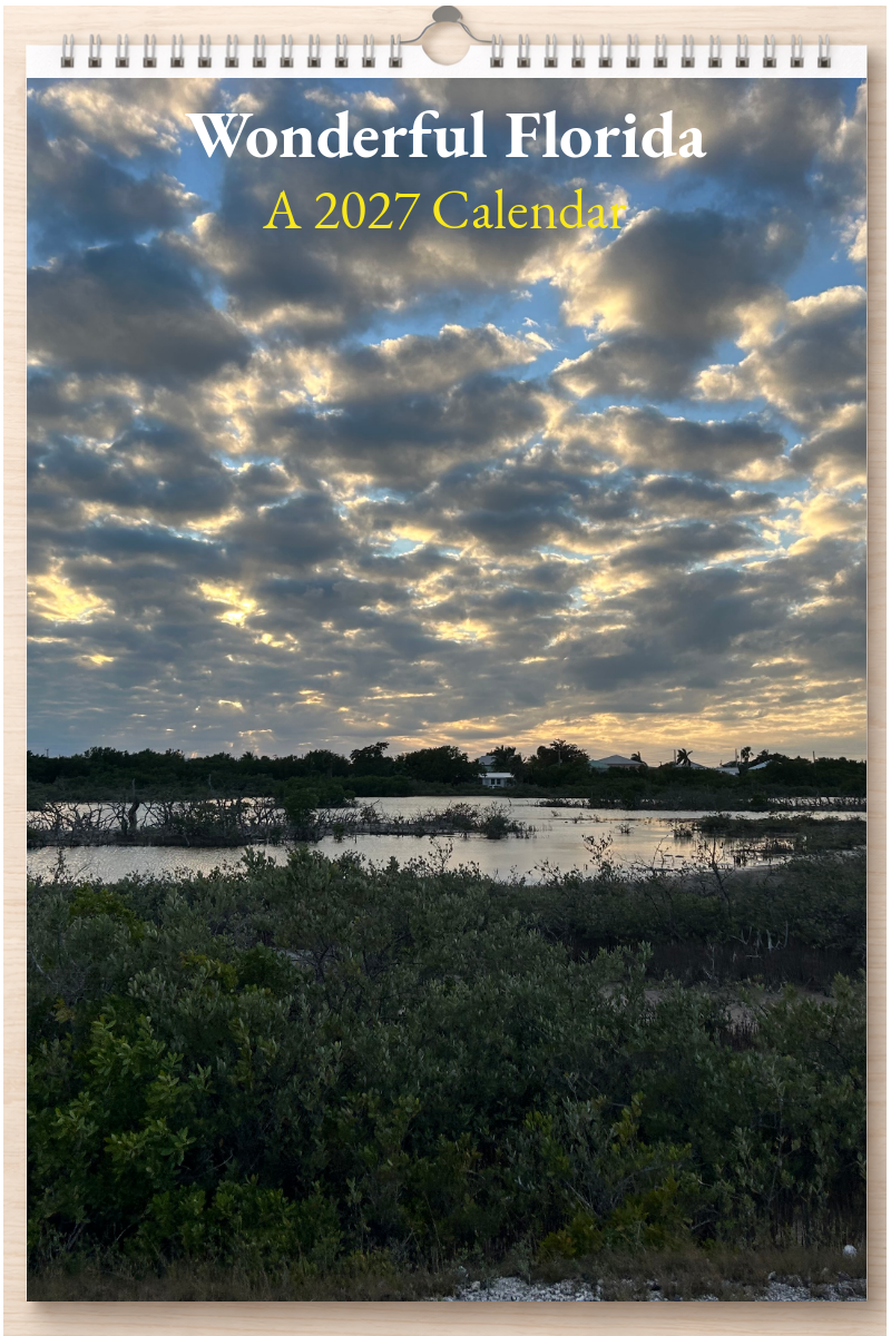 Wonderful Florida: A 2027 Calendar