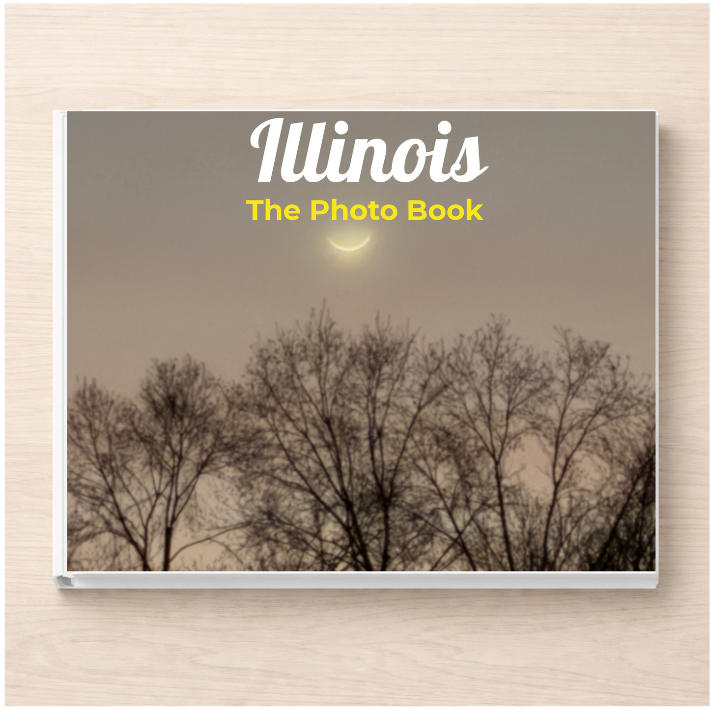 Illinois: The Photo Book