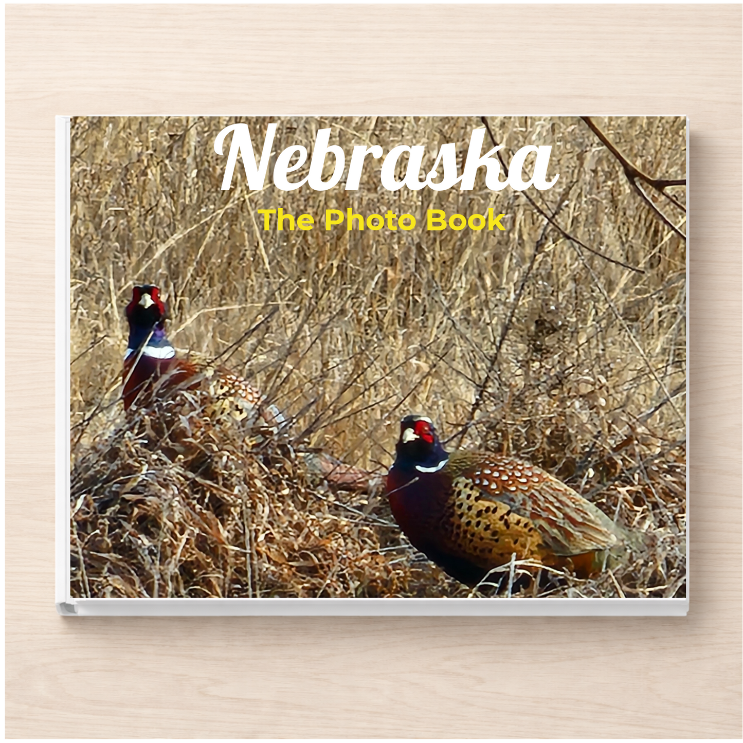 Nebraska: The Photo Book