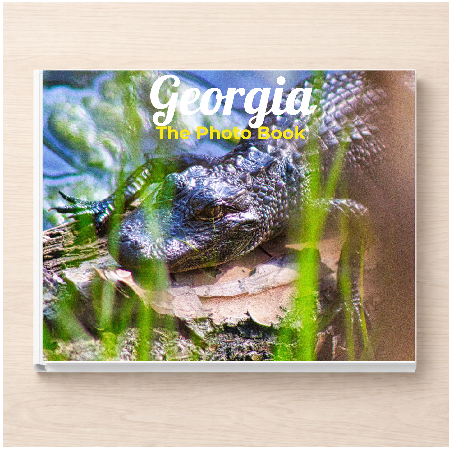 Georgia: The Photo Book