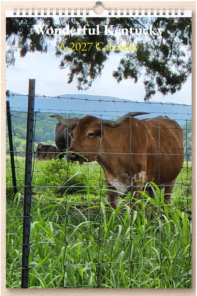 Wonderful Kentucky: A 2027 Calendar