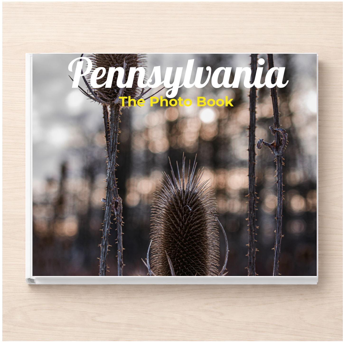 Pennsylvania: The Photo Book