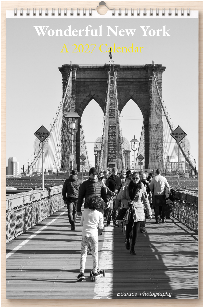 Wonderful New York: A 2027 Calendar